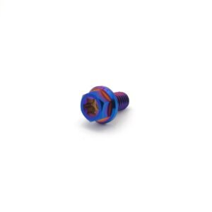 Titanium M6 Bolts (Collective)