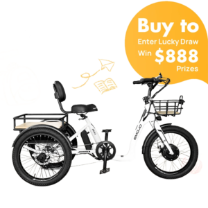 Bull Electric Trike: Power Your Ride with Style and Confidence