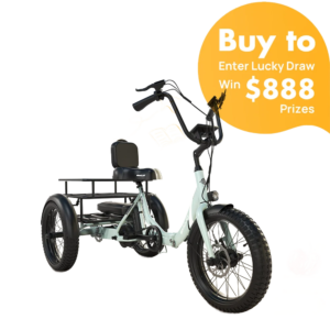 Dexter Jr. - Your Perfect Emojo Electric Trike for Fun Rides