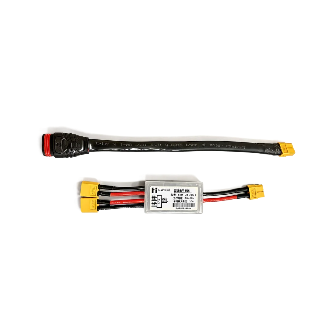 Electric Balancer