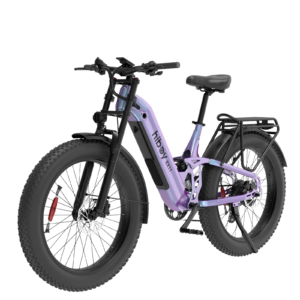 Hiboy EX11 Full Suspension Electric Bike