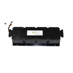 Hiboy S2 MAX Battery