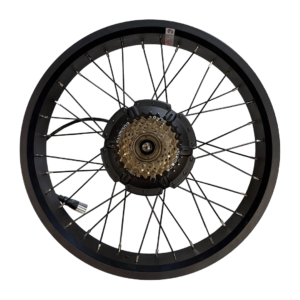 Motor ( with rear wheel)