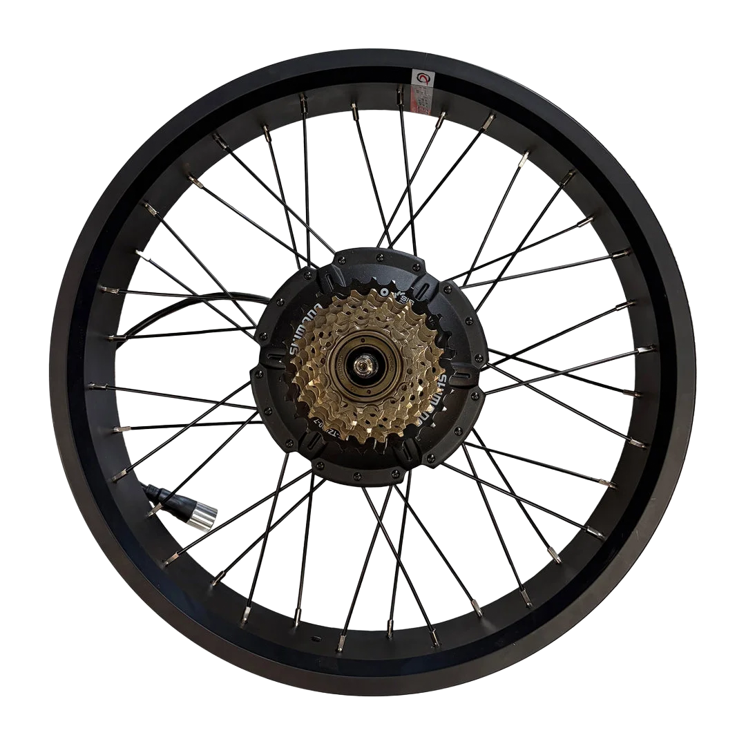 Motor ( with rear wheel)