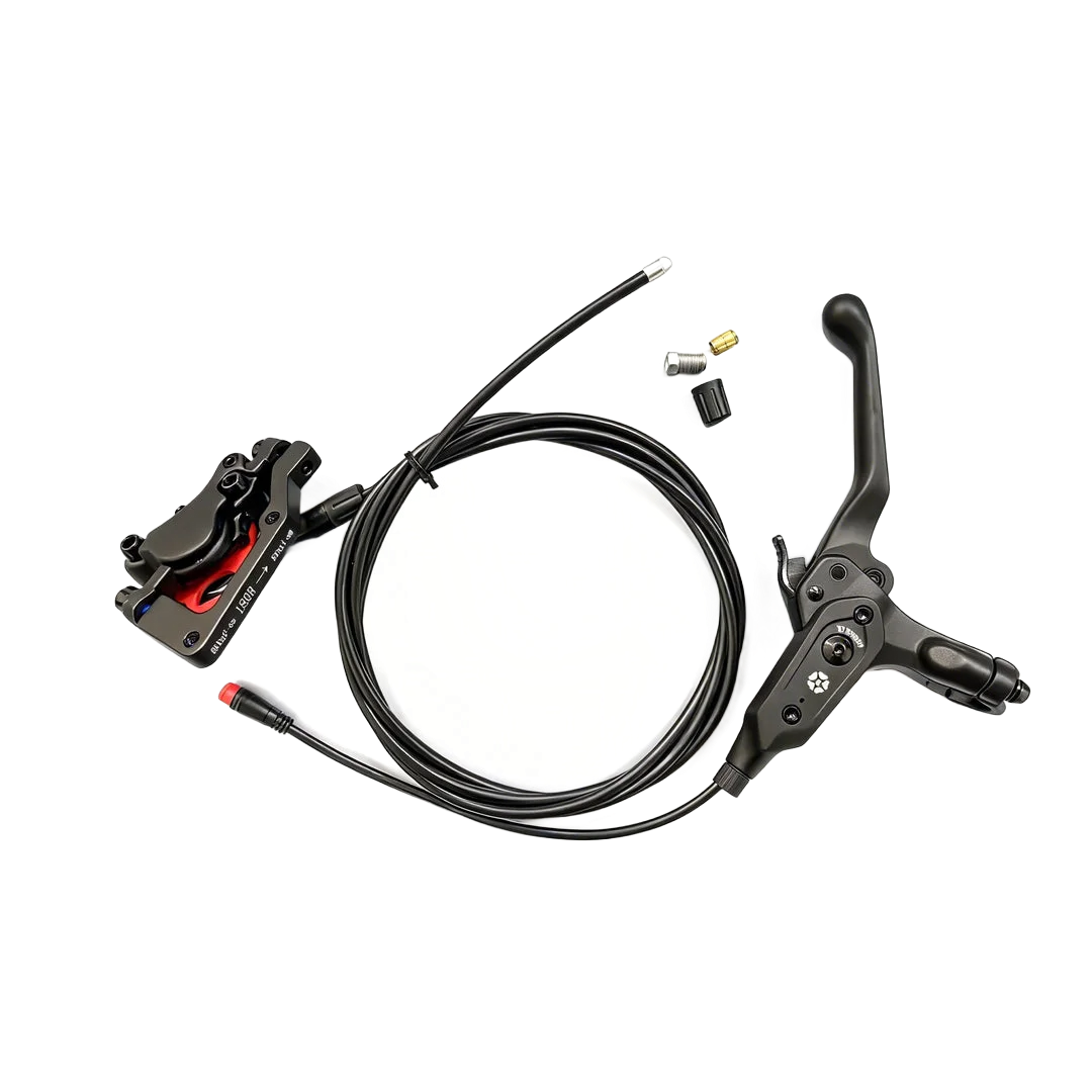 Rear Brake 03