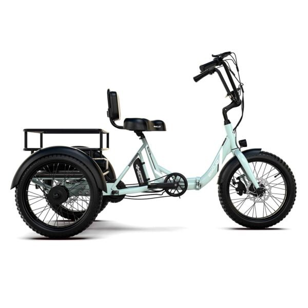 Emojo Dexter Jr. Electric Trike